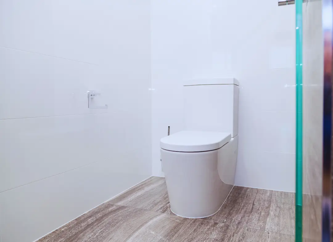 Remplacement de wc Clarensac